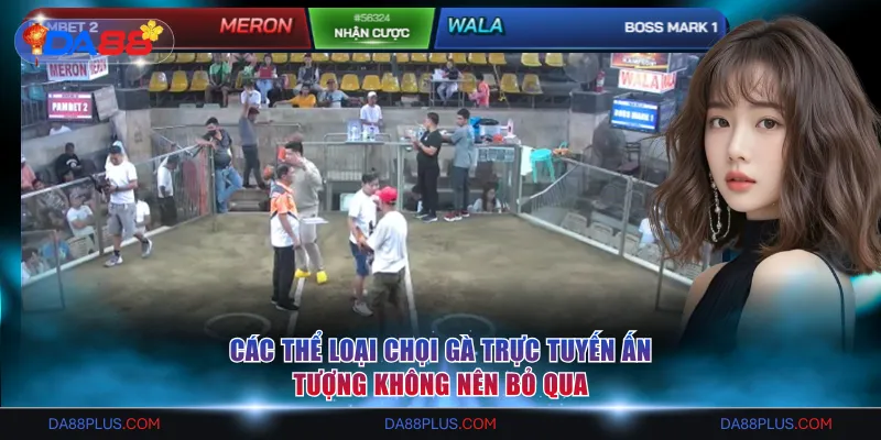 Các thể loại chọi gà trực tuyến ấn tượng không nên bỏ qua