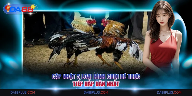 Cập nhật 5 loại hình chọi kê trực tiếp hấp dẫn nhất