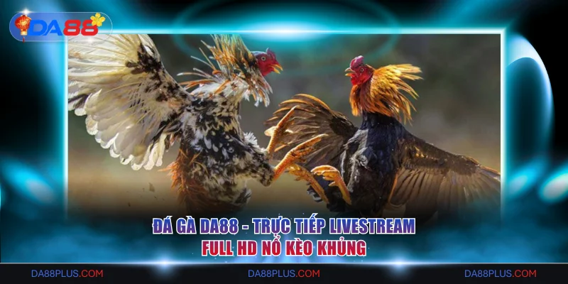 Đá Gà DA88 - Trực Tiếp Livestream Full HD Nổ Kèo Khủng