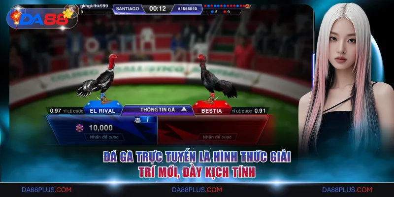 Đá gà trực tuyến là hình thức giải trí mới, đầy kịch tính