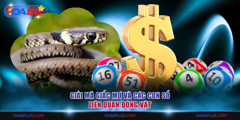 Giải mã giấc mơ và các con số liên quan động vật