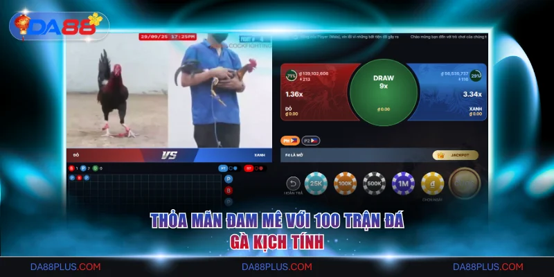 Thỏa mãn đam mê với 100 trận đá gà kịch tính