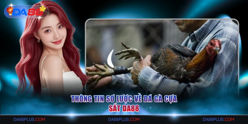 Thông tin sơ lược về đá gà cựa sắt DA88