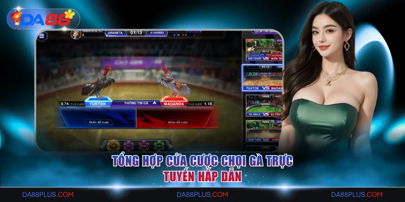 Tổng hợp cửa cược chọi gà trực tuyến hấp dẫn