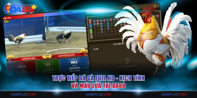 Trực tiếp đá gà