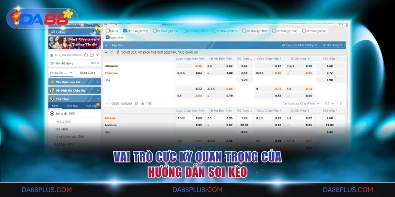 Vai trò cực kỳ quan trọng của hướng dẫn soi kèo